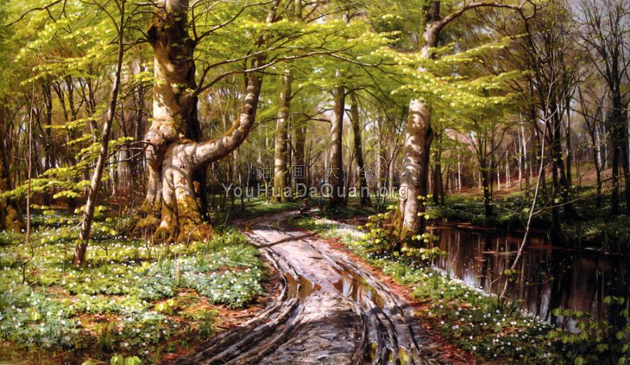 Skovparti Med Alob, River Landscape - 佩德·莫克·曼斯特德